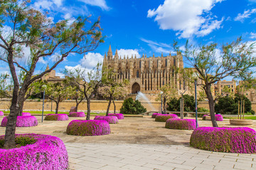 kathedrale la seu - mallorca - spain © powell83