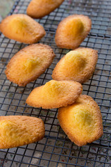 Madeleine