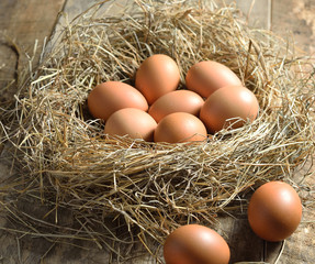 Brown eggs in a nest
