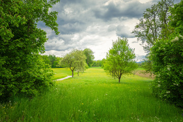 Meadows and clouds in spring