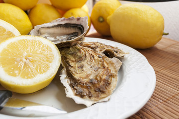oysters