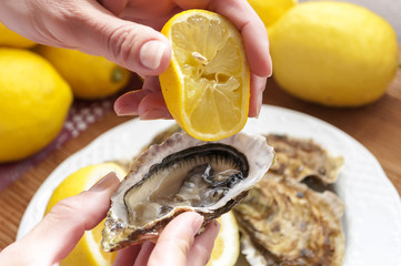 oysters