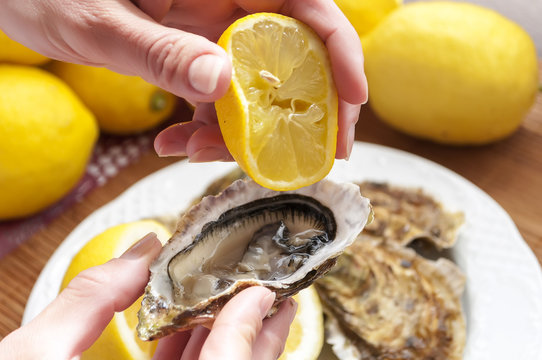 oysters