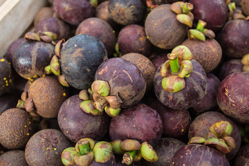Mangosteen of Thailand