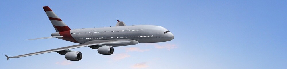 
Modern Passenger airplane in flight