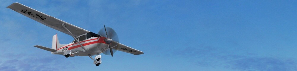 most popular single propeller light aircraft in fly 