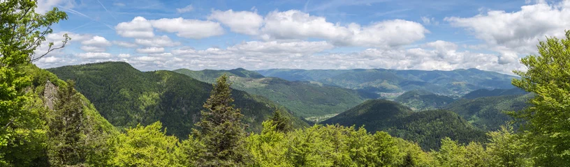Selbstklebende Fototapeten panorama des Vosges © Olympixel