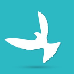 Dove of Peace