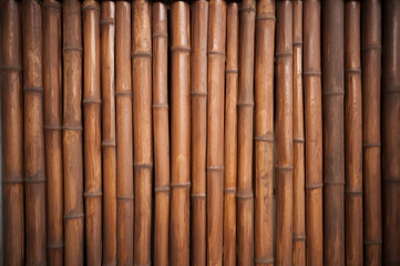 Bamboo background