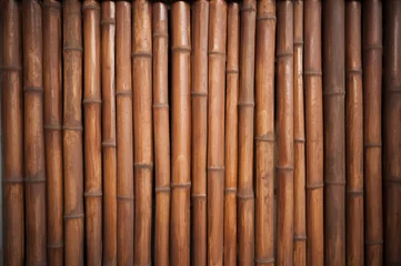 Bambus-Hintergrund © tanawatpontchour
