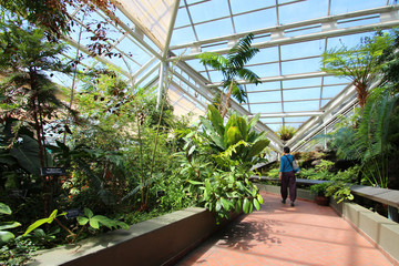Naklejka premium New York / Brooklyn Botanic Garden
