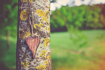 wooden shape of heart on natural green background with copy spac