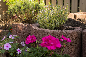 Blumen und Kräutergarten