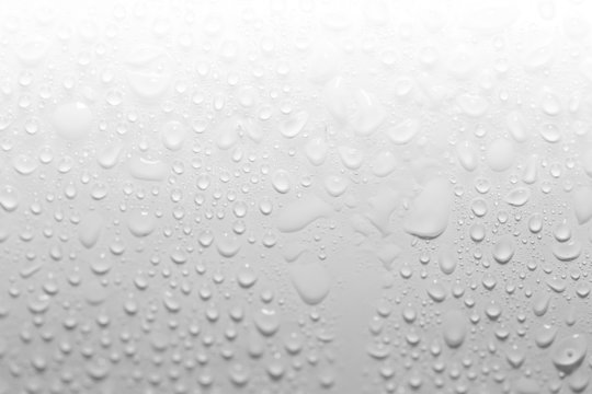 Water Drops On A White Background. Close-up