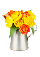 Colorful tulips bouquet in watering can
