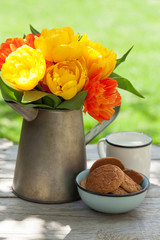 Colorful tulips in watering can, cookies and milk