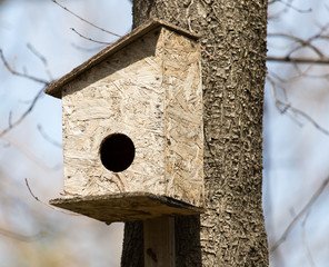 house for birds on a tree