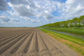Fototapeta na wymiar Furrows in a sunny plowed field in spring