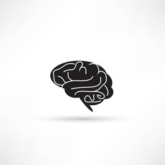 Brain icon