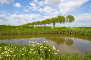 Fototapeta na wymiar Canal through sunny farmland in spring
