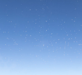 Fototapeta na wymiar snow as the blue sky