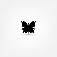 butterfly vector icon