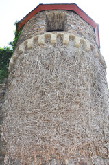 Burgturm in Alken an der Mosel