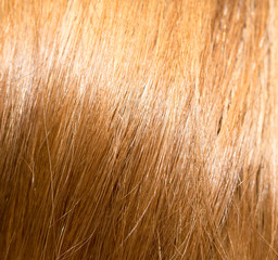 background of hair