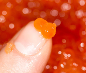 Fototapeta premium red caviar on a finger. close-up