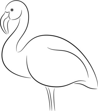 recommend clip art: Flamingo