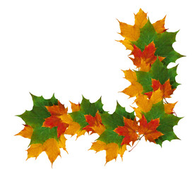 autumn frame of colorful leaves isolated on white background