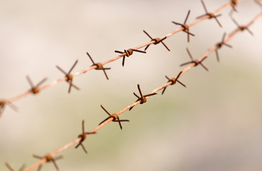 barbed wire on nature