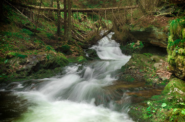 Cascading waterfall in deep forest