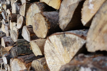texture tas de bois