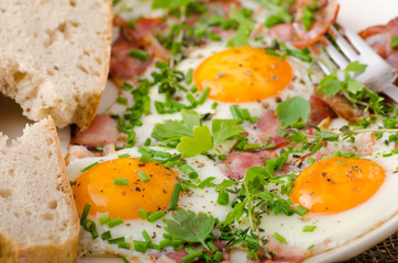 Spring omelette with bacon, egg and herbs