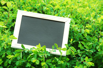 Photo frame over green bush background