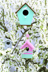 Decorative nesting boxes on bright background
