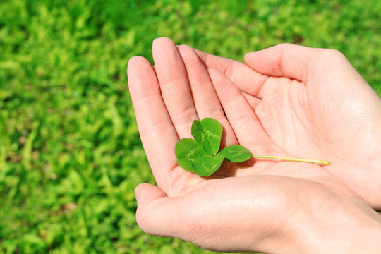 Hand holding four leaf clover on green nature background, close up