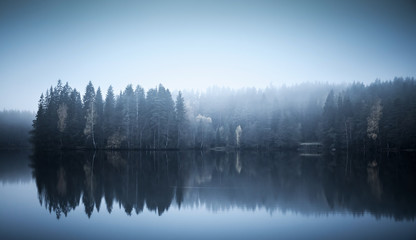 Paysage avec trois sur une côte, brouillard et lac immobile