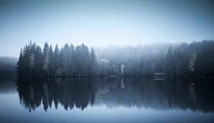Fotobehang Landschap met drieën aan een kust, mist en stil meer © evannovostro
