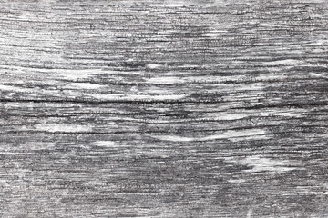 Obraz premium Old wood texture.