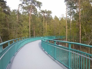 Brücke