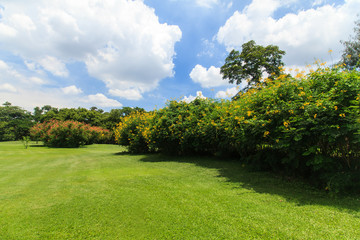 Beautiful park