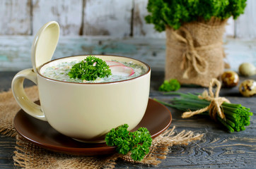 Russian spring and summer cold soup  with kefir