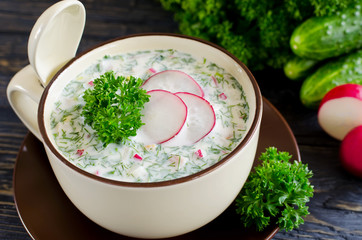 Russian spring and summer cold soup  with kefir