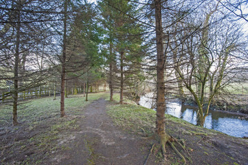 Footpath through woodland by stream in winter