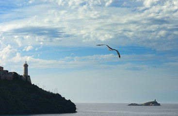 Fototapeta na wymiar Portoferraio-Elba island
