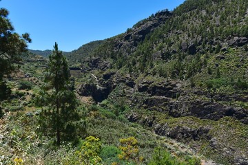 Gran Canaria - Parque Nacional de Tamadaba