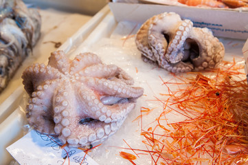 Octopus  for sale in the local fish market of Catania, Sicily © siculodoc