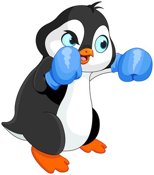 Penguin boy boxer